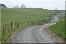 NT3155 : Country road in Midlothian by Eileen Henderson
