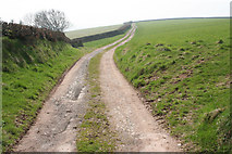 ST0633 : Brompton Ralph: track near Elworthy Barrows by Martin Bodman