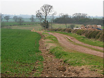 SK7823 : Farm track near Waltham on the Wolds by Kate Jewell