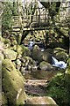 Footbridge over a Dartmoor Stream