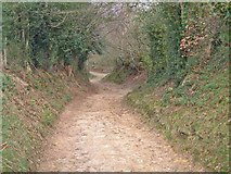 TQ6432 : Farm road below Little Pell Farm, Wadhurst by Oliver Dixon