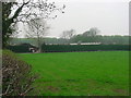 Archenfield, Ross on Wye - Chicken Houses