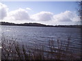 Loch of Lintrathen Nature Reserve