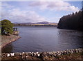 Loch of Lintrathen