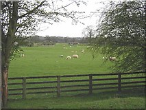 SE6282 : Pastoral view in spring by Jeremy Howat