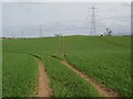 Tramlines, Power Lines