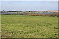 Pasture on the edge of Stithians Reservoir