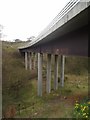 NZ1163 : Bridge over Stanley Burn. by Jane Burdis
