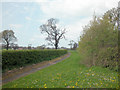 Quiet footpath