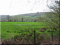 Farmland west of Coney