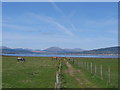 Nature trail at Ardmore Point, Dunbartonshire