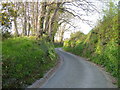 Church Lane, Whitestone