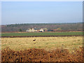 Lower Woodbury Farm near Bloxworth