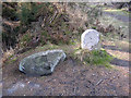 SY8991 : Memorial Stones, Wareham Forest by John Lamper