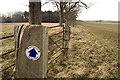 Bridleway near Organford