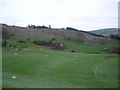 Fields above Llanfair TH