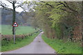 Lane to Sampford Moor