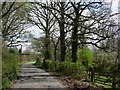 Parrock Lane near Upper Hartdield