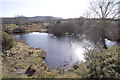 Pond, New Mills Heath