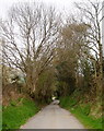 Minor road near Cyffylliog