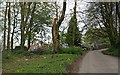 Woodland and Houses at Roskrow Farm