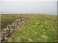 Crofting Land above Loch Bay