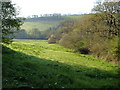 Field near Painsford