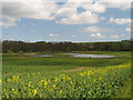 TF3377 : Lincolnshire Wolds Ponds. by Bob Danylec