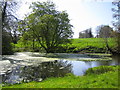 The Pond by Pond Farm