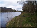 The River Tay by Duntuim