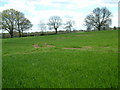 Farmland, south of Rockbourne