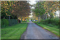 Manor Lane near Whatton, Nottinghamshire