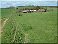 Boulsbury Farm, Damerham