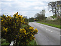 Hedgerley Lane, near Beaconsfield