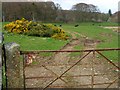 Field near Shennanton House