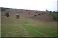 Rabber Dingle south of Hergest Ridge