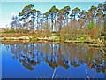 NX2463 : Fishing lake at Torwood House Country Hotel by Oliver Dixon
