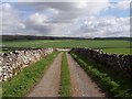 Track leading from the Gargrave/Airton Road