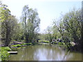 Spring at the Fishing Pond, Carr Lane, Prescot