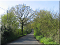 Little Warley Hall Lane, Little Warley