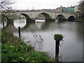 TQ1774 : River Thames: Richmond Bridge by Nigel Cox