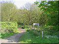 Footpath - Warley Gap