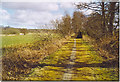 Formartine and Buchan Way, NW of Old Deer.