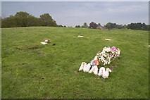 SY9694 : Woodland burial site near Lytchett Heath by John Lamper