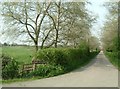 Track to Ivinghoe Aston Farm