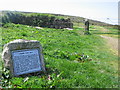 The path to Carn Brea