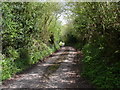 Lane between Ayleford and A48