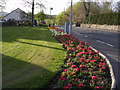 Flowerbed at Kelvinhead