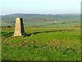 Trig Point overlooking Horton Valley