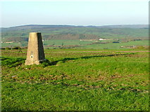 SJ9159 : Trig Point overlooking Horton Valley by Neil Lewin